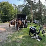 Relaxed Апартаменты *