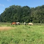 Relaxed Апартаменты