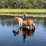 Апартаменты Relaxed *