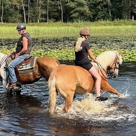 Relaxed Апартаменты *